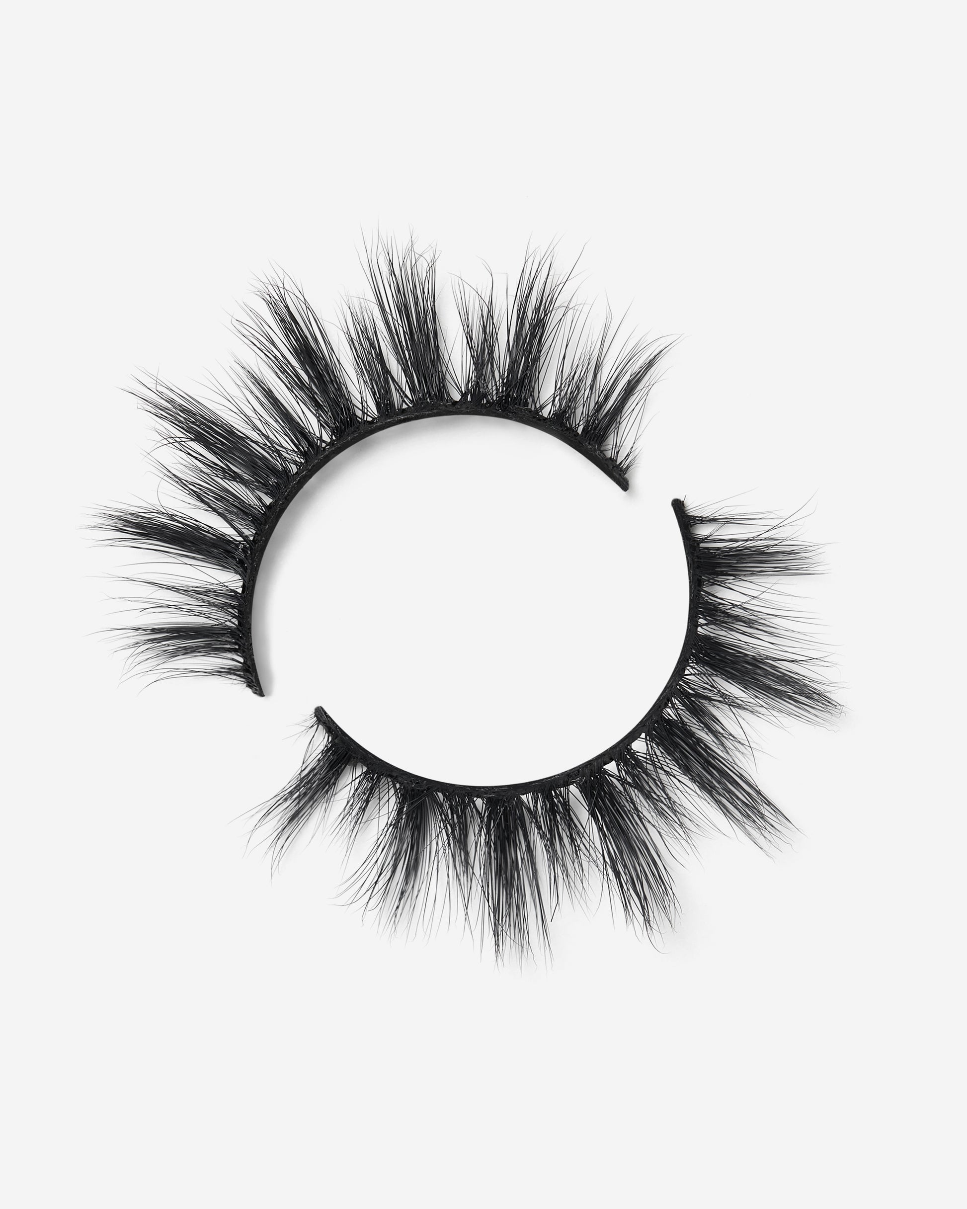 Lilly Lashes | Everyday | Miami