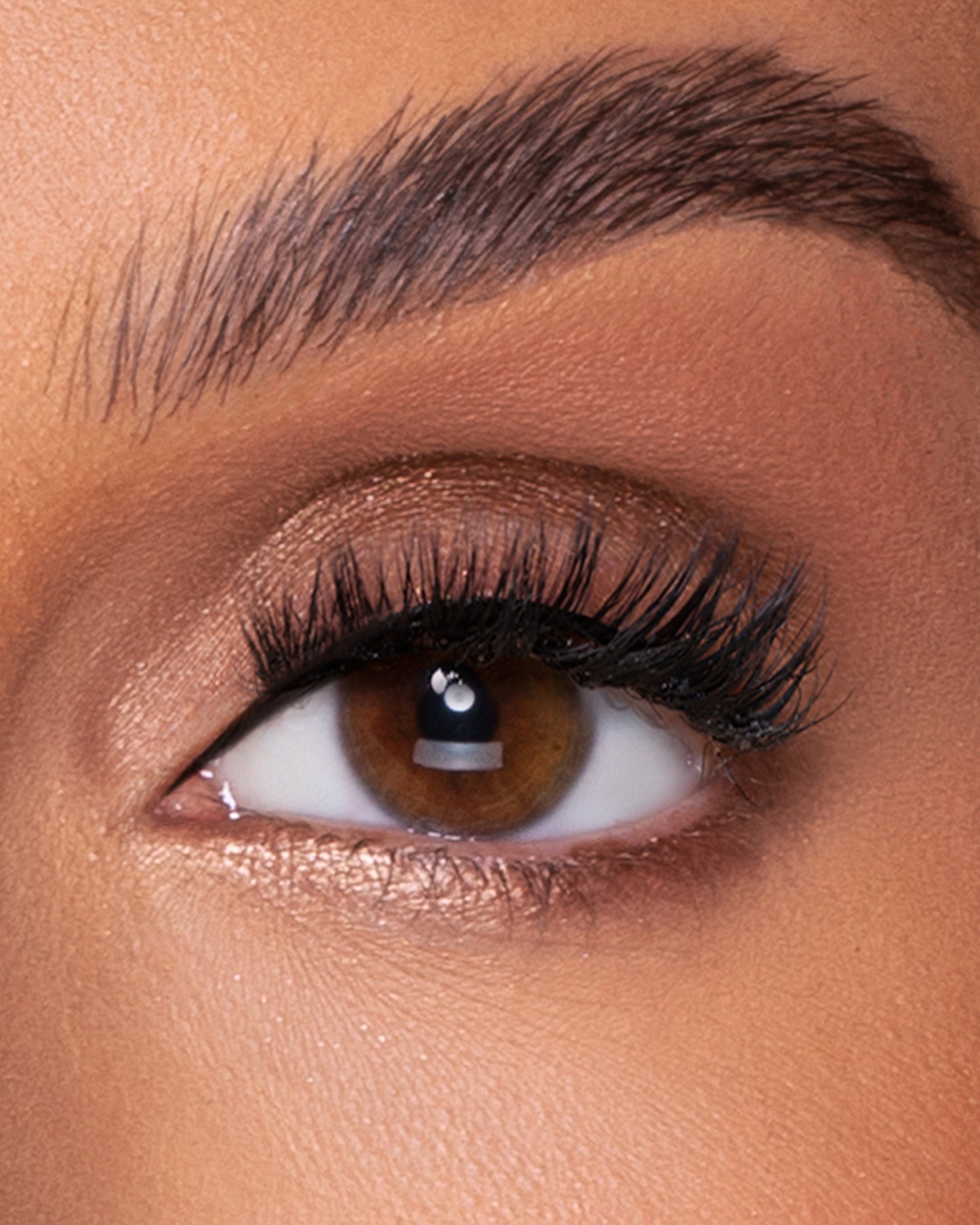 Lilly Lashes | Everyday | Reveal | Eye Crop