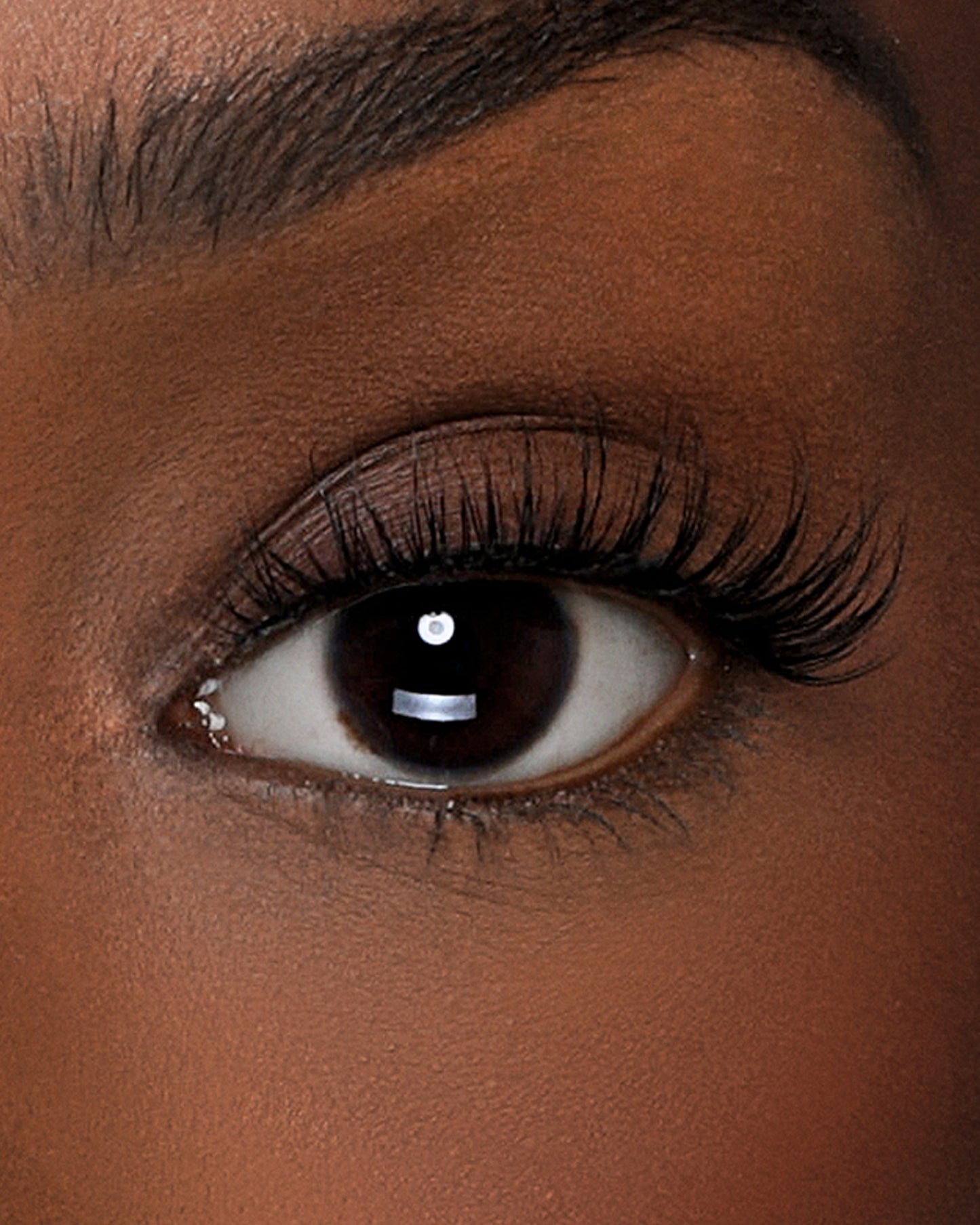 Lilly Lashes | Lite Faux Mink | Royalty | Eye Crop